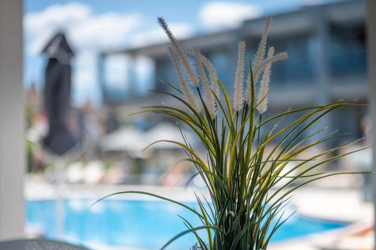 Dionysos Hotel & Suites Chaniotis Exterior foto